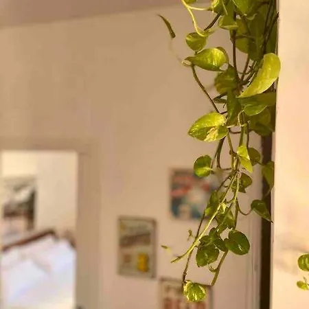 アパート Casa Begonie, “good Vibes” ローマ